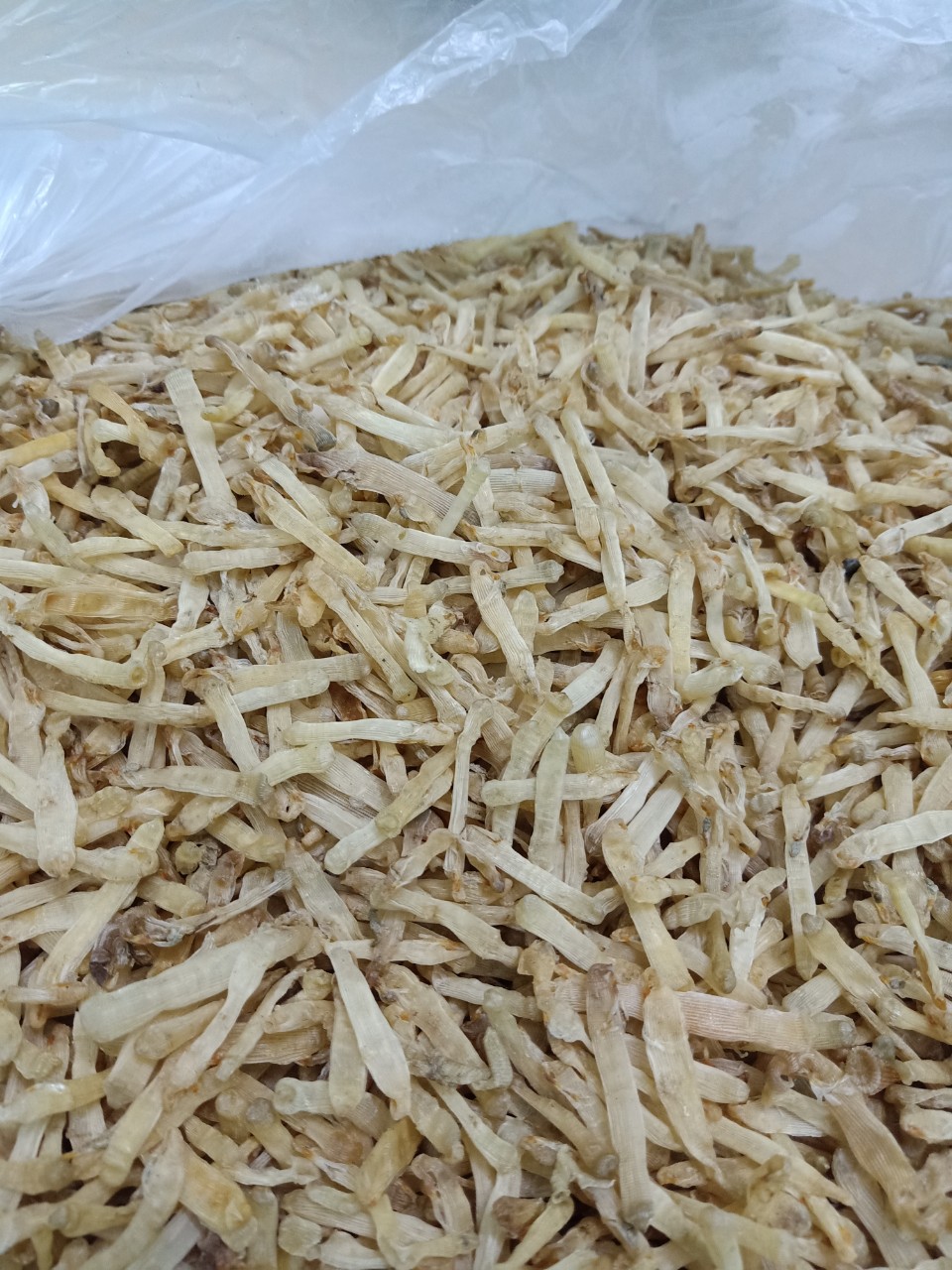 Sá sùng khô nước phở (cao cấp)